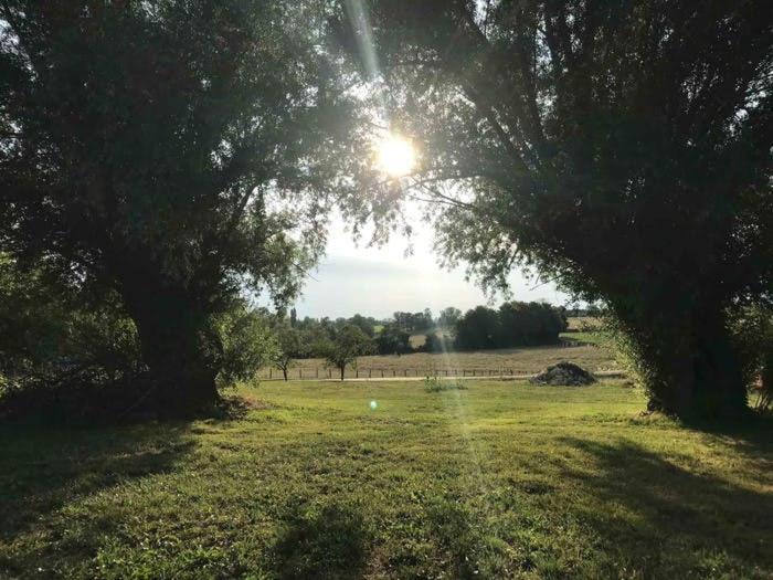 La Grange A Outeaux Bed and Breakfast Montpont-en-Bresse Buitenkant foto